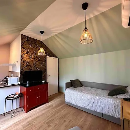 Japan House : Studio En Bois Zen - Wifi - Parking Gratuit Angouleme Exterior photo